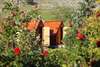 Фермерские дома Rural household Starevina Vraćenovići-6