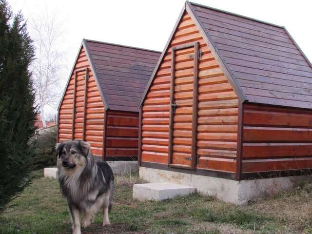 Фермерские дома Rural household Starevina Vraćenovići-48